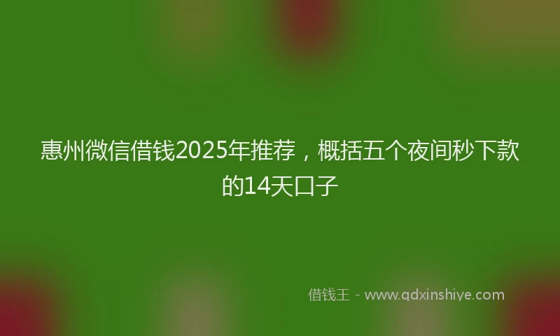 惠州微信借钱2025年推荐，概括五个夜间秒下款的14天口子