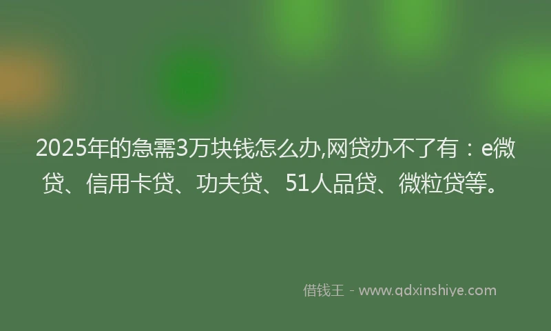 2025年的急需3万块钱怎么办,网贷办不了有：e微贷、信用卡贷、功夫贷、51人品贷、微粒贷等。