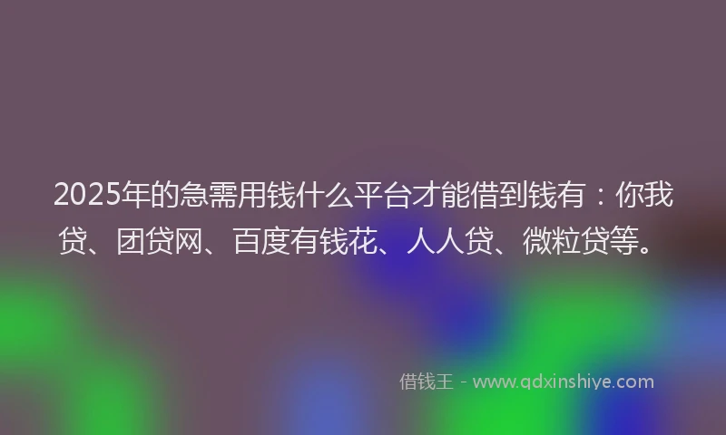 2025年的急需用钱什么平台才能借到钱有：你我贷、团贷网、百度有钱花、人人贷、微粒贷等。