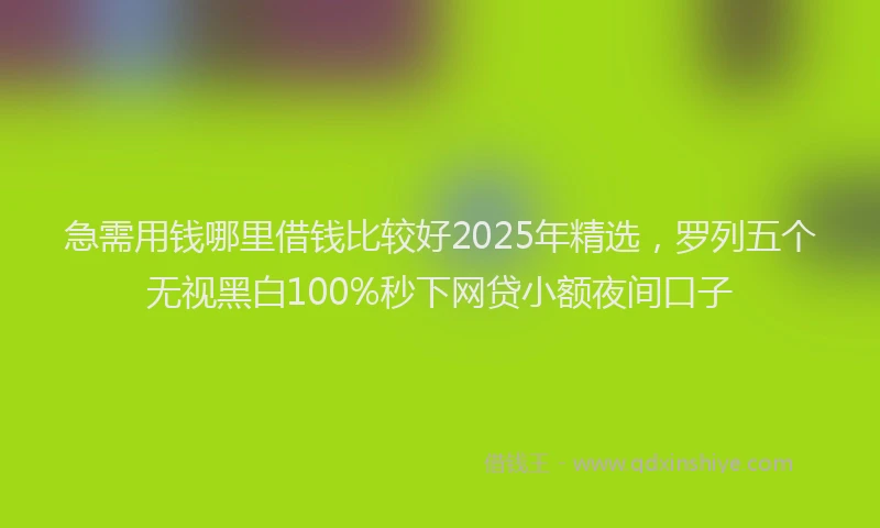 急需用钱哪里借钱比较好2025年精选，罗列五个无视黑白100%秒下网贷小额夜间口子