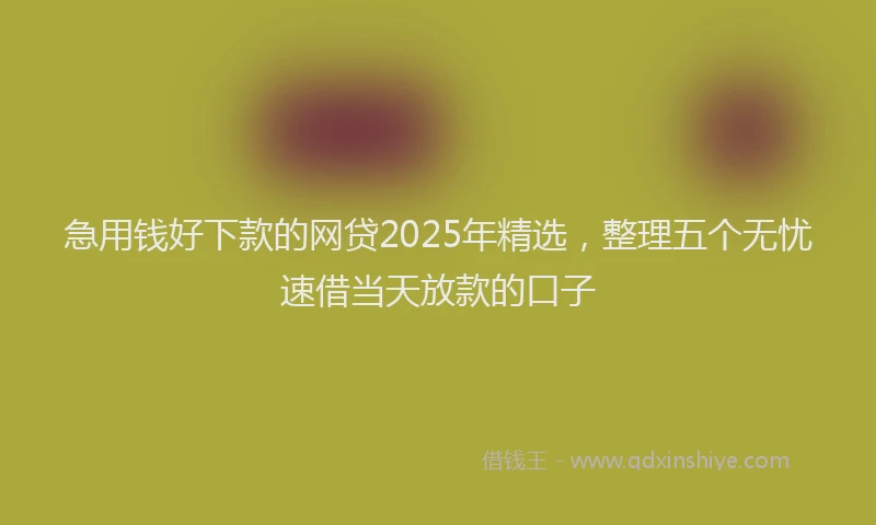 急用钱好下款的网贷2025年精选，整理五个无忧速借当天放款的口子