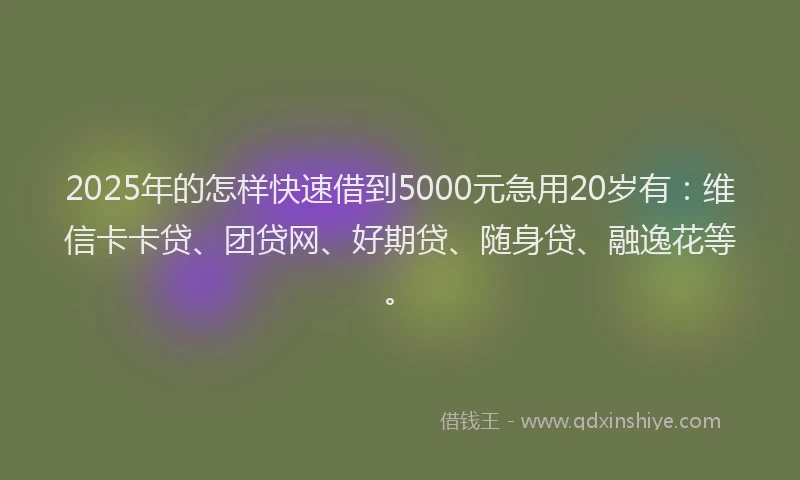 2025年的怎样快速借到5000元急用20岁有：维信卡卡贷、团贷网、好期贷、随身贷、融逸花等。
