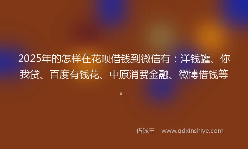 2025年的怎样在花呗借钱到微信有：洋钱罐、你我贷、百度有钱花、中原消费金融、微博借钱等。