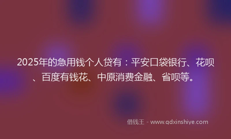 2025年的急用钱个人贷有：平安口袋银行、花呗、百度有钱花、中原消费金融、省呗等。