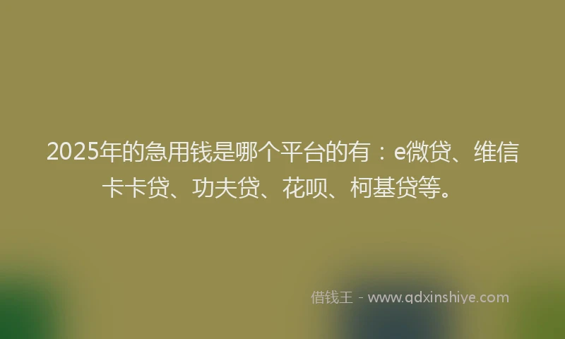 2025年的急用钱是哪个平台的有：e微贷、维信卡卡贷、功夫贷、花呗、柯基贷等。