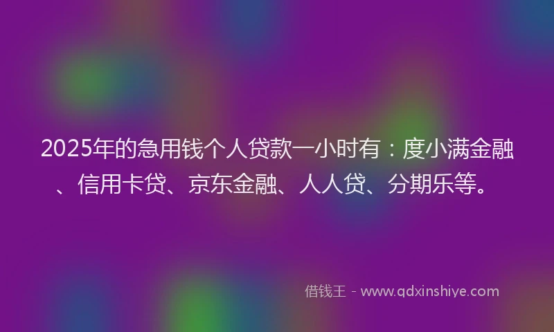 2025年的急用钱个人贷款一小时有：度小满金融、信用卡贷、京东金融、人人贷、分期乐等。