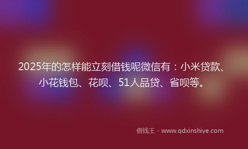 2025年的怎样能立刻借钱呢微信有：小米贷款、小花钱包、花呗、51人品贷、省呗等。