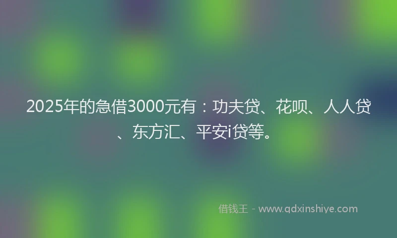 2025年的急借3000元有：功夫贷、花呗、人人贷、东方汇、平安i贷等。