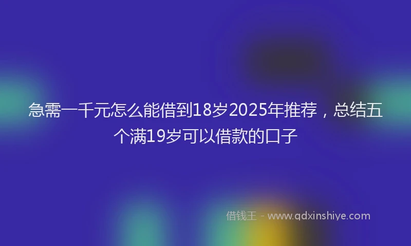 急需一千元怎么能借到18岁2025年推荐，总结五个满19岁可以借款的口子