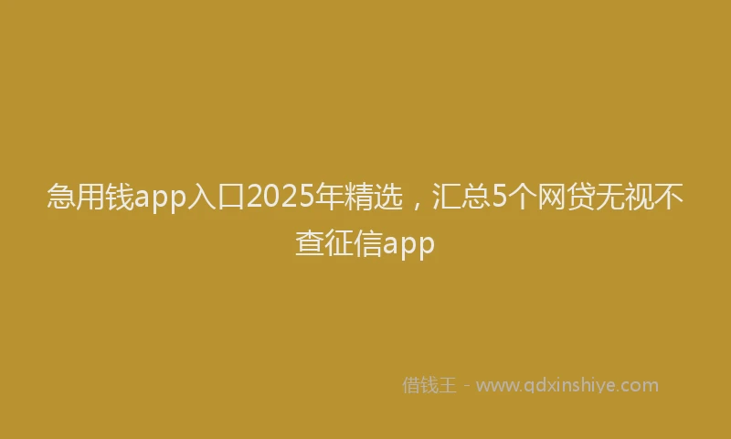 急用钱app入口2025年精选，汇总5个网贷无视不查征信app