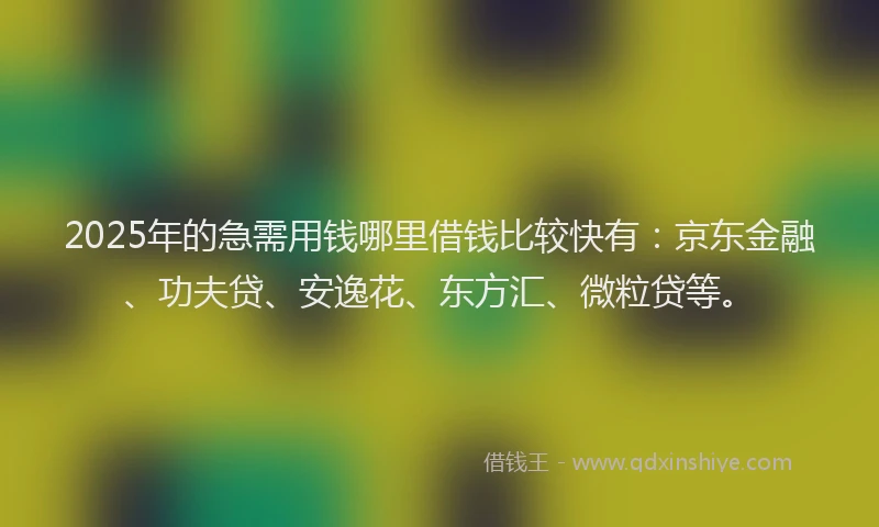2025年的急需用钱哪里借钱比较快有：京东金融、功夫贷、安逸花、东方汇、微粒贷等。
