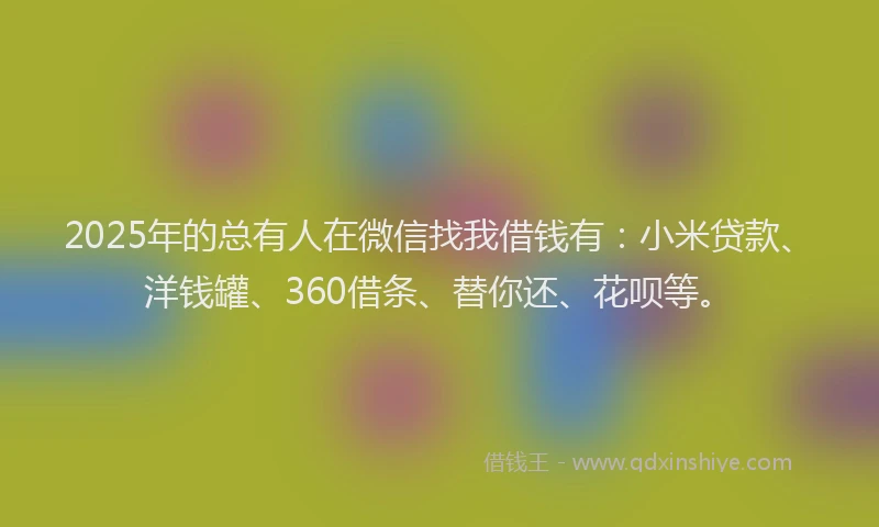 2025年的总有人在微信找我借钱有：小米贷款、洋钱罐、360借条、替你还、花呗等。