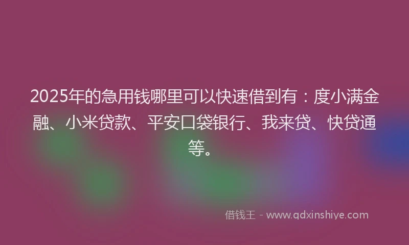 2025年的急用钱哪里可以快速借到有：度小满金融、小米贷款、平安口袋银行、我来贷、快贷通等。