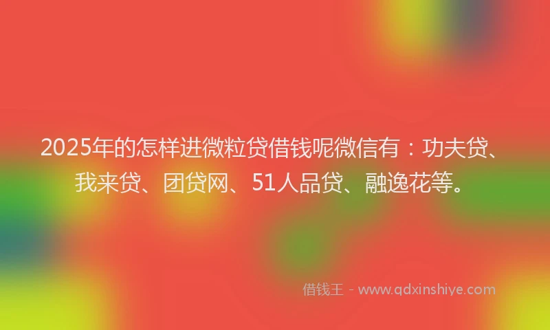 2025年的怎样进微粒贷借钱呢微信有：功夫贷、我来贷、团贷网、51人品贷、融逸花等。