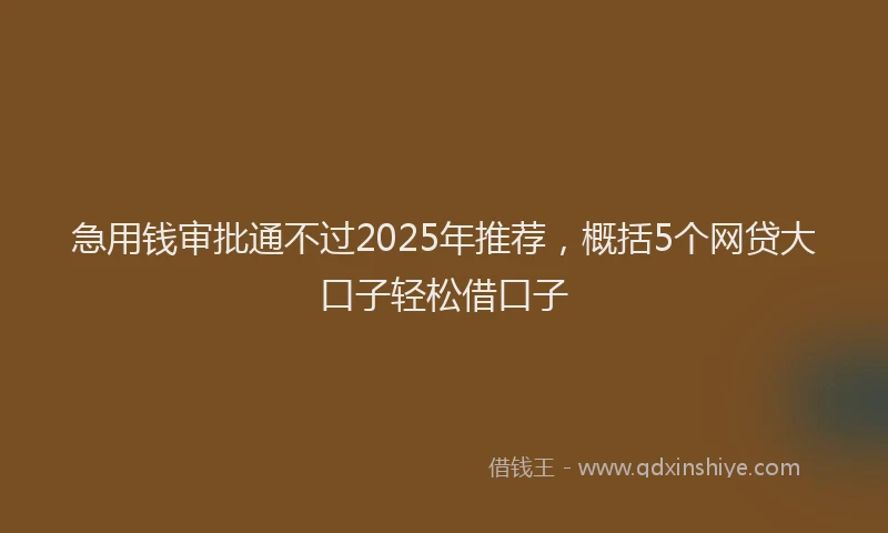 急用钱审批通不过2025年推荐，概括5个网贷大口子轻松借口子