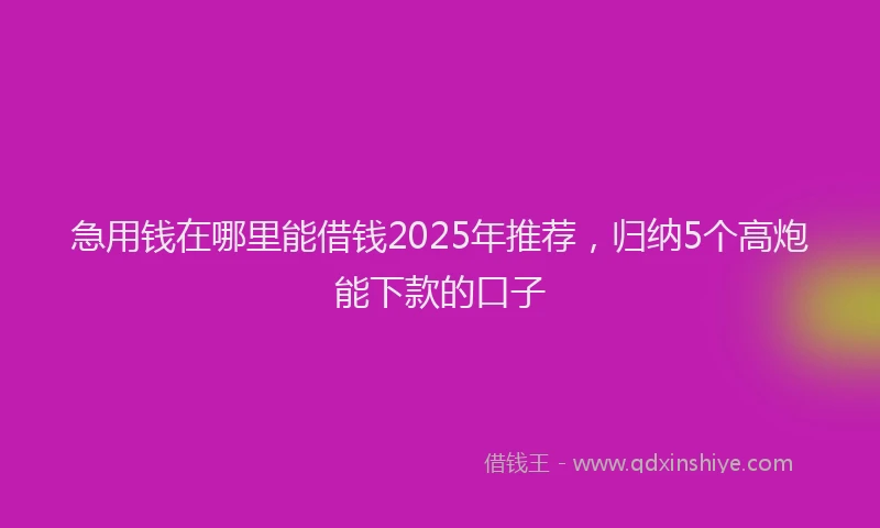 急用钱在哪里能借钱2025年推荐，归纳5个高炮能下款的口子