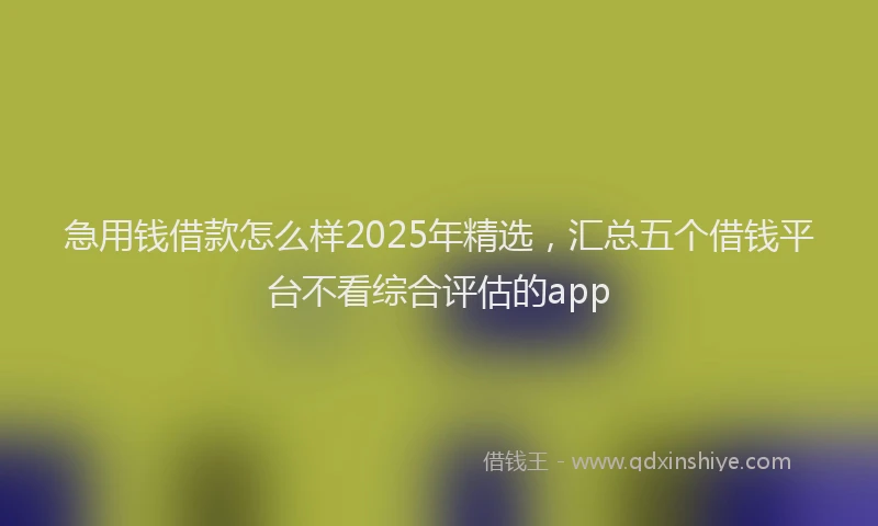 急用钱借款怎么样2025年精选，汇总五个借钱平台不看综合评估的app