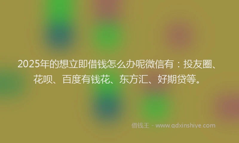 2025年的想立即借钱怎么办呢微信有：投友圈、花呗、百度有钱花、东方汇、好期贷等。