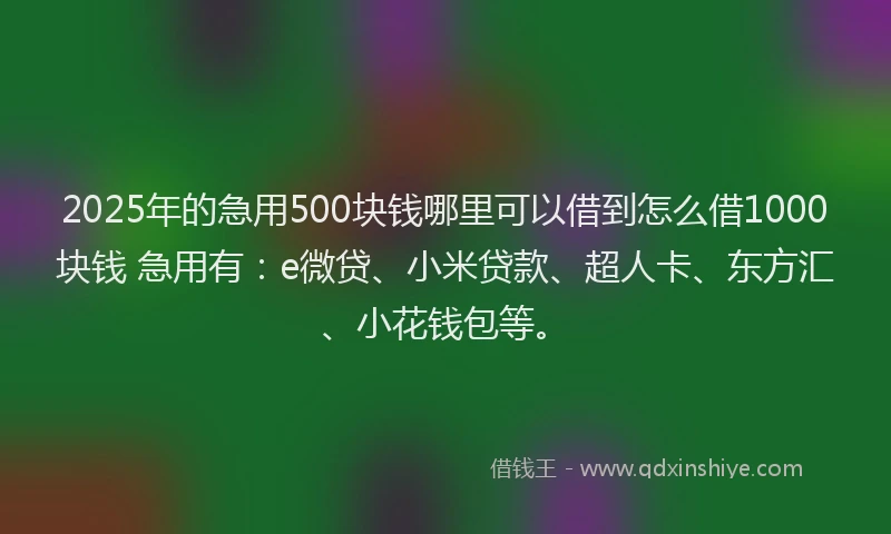 2025年的急用500块钱哪里可以借到怎么借1000块钱 急用有：e微贷、小米贷款、超人卡、东方汇、小花钱包等。