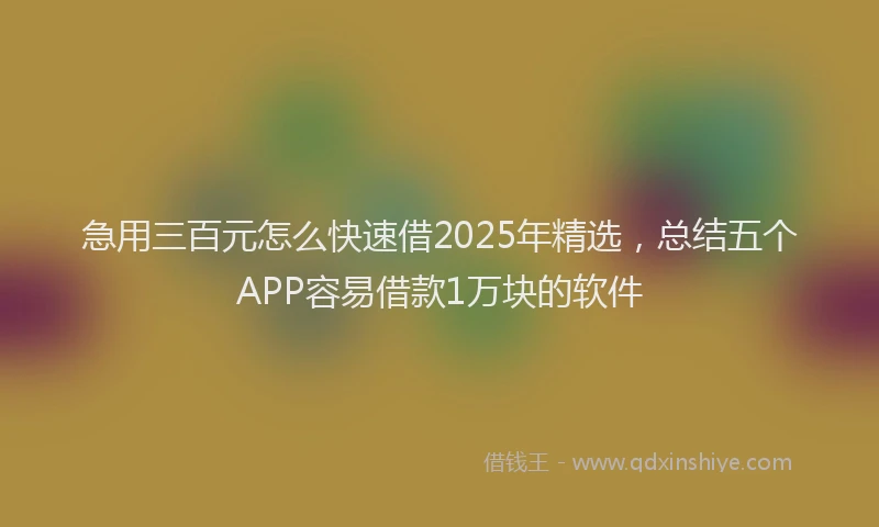 急用三百元怎么快速借2025年精选，总结五个APP容易借款1万块的软件