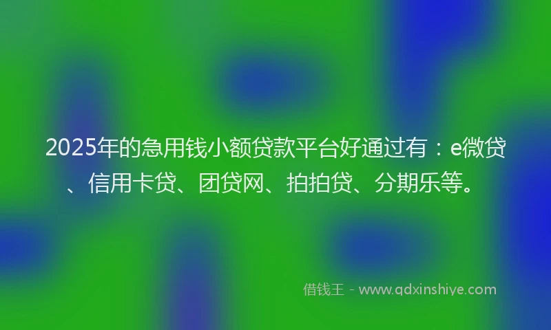 2025年的急用钱小额贷款平台好通过有：e微贷、信用卡贷、团贷网、拍拍贷、分期乐等。