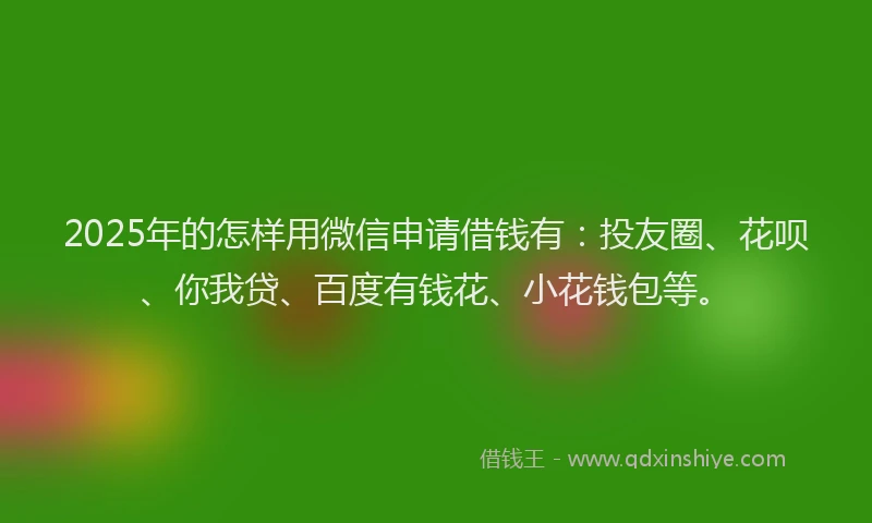 2025年的怎样用微信申请借钱有：投友圈、花呗、你我贷、百度有钱花、小花钱包等。