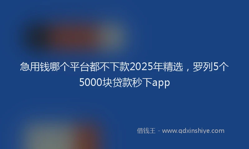 急用钱哪个平台都不下款2025年精选，罗列5个5000块贷款秒下app