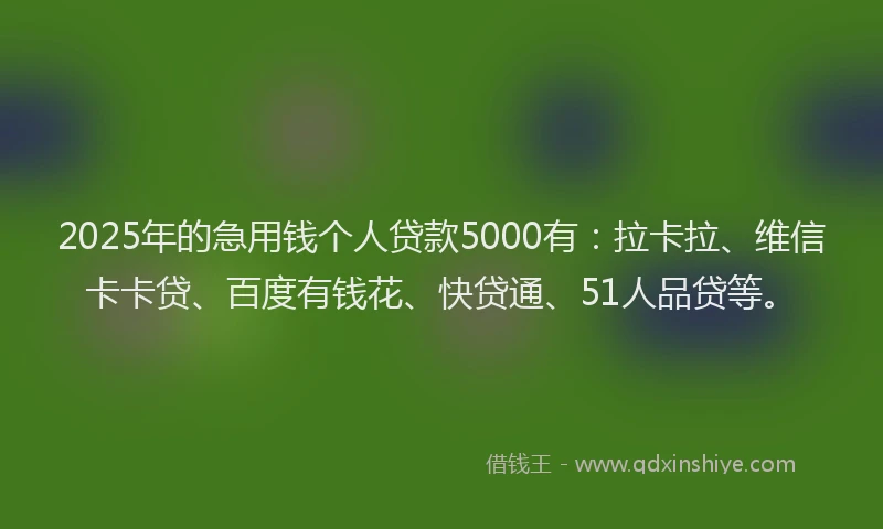 2025年的急用钱个人贷款5000有：拉卡拉、维信卡卡贷、百度有钱花、快贷通、51人品贷等。