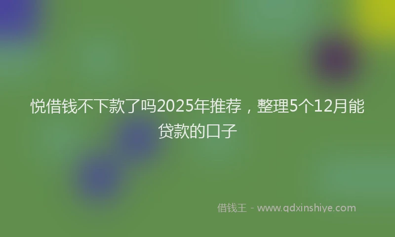 悦借钱不下款了吗2025年推荐，整理5个12月能贷款的口子