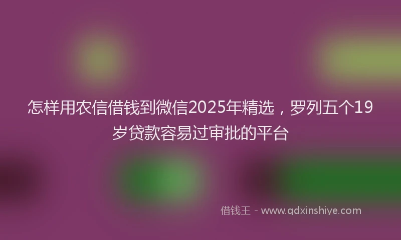 怎样用农信借钱到微信2025年精选，罗列五个19岁贷款容易过审批的平台