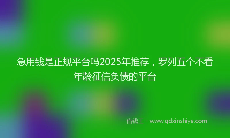 急用钱是正规平台吗2025年推荐，罗列五个不看年龄征信负债的平台