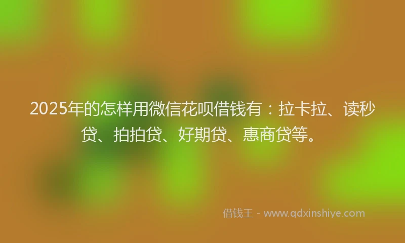 2025年的怎样用微信花呗借钱有：拉卡拉、读秒贷、拍拍贷、好期贷、惠商贷等。