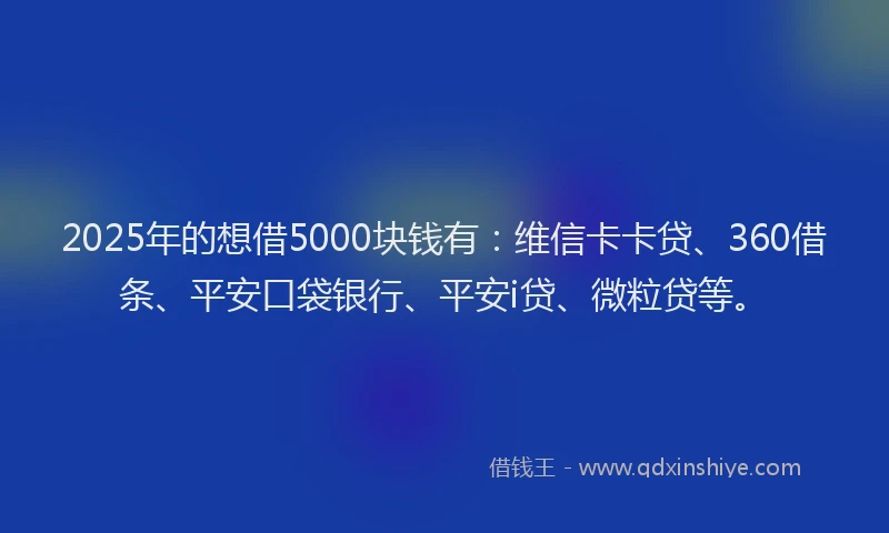 2025年的想借5000块钱有：维信卡卡贷、360借条、平安口袋银行、平安i贷、微粒贷等。
