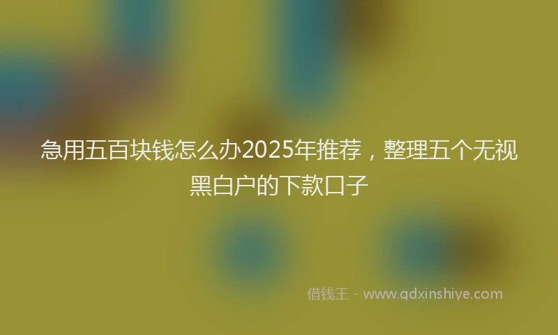 急用五百块钱怎么办2025年推荐，整理五个无视黑白户的下款口子