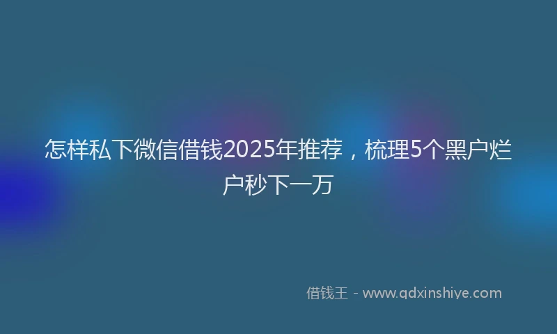 怎样私下微信借钱2025年推荐，梳理5个黑户烂户秒下一万