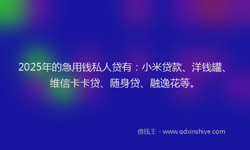 2025年的急用钱私人贷有：小米贷款、洋钱罐、维信卡卡贷、随身贷、融逸花等。