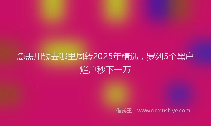 急需用钱去哪里周转2025年精选，罗列5个黑户烂户秒下一万
