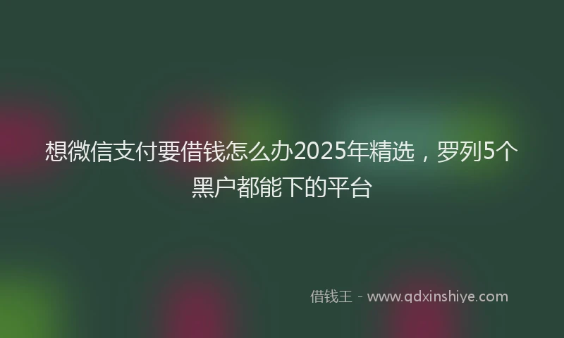 想微信支付要借钱怎么办2025年精选，罗列5个黑户都能下的平台