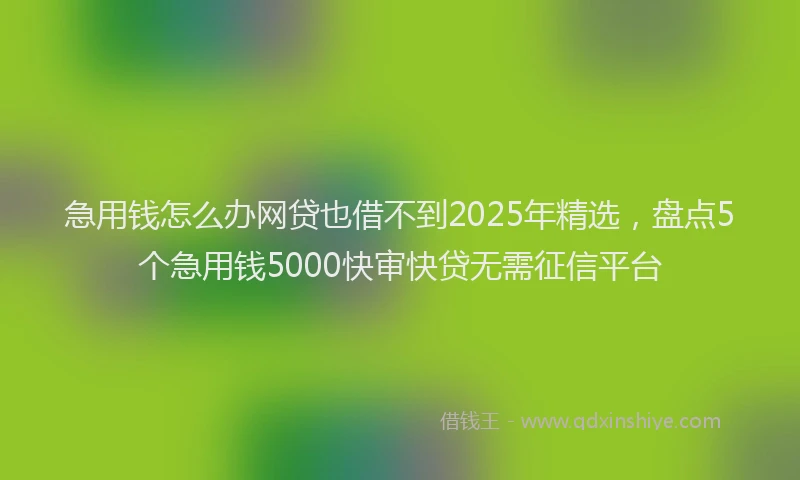 急用钱怎么办网贷也借不到2025年精选，盘点5个急用钱5000快审快贷无需征信平台