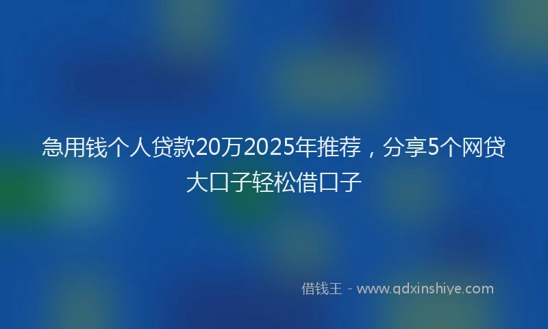 急用钱个人贷款20万2025年推荐，分享5个网贷大口子轻松借口子