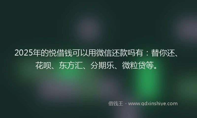 2025年的悦借钱可以用微信还款吗有：替你还、花呗、东方汇、分期乐、微粒贷等。