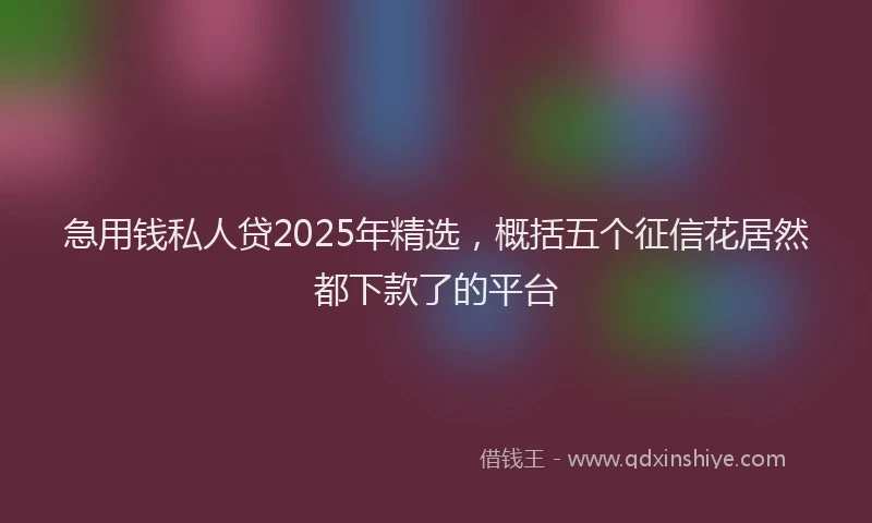 急用钱私人贷2025年精选，概括五个征信花居然都下款了的平台