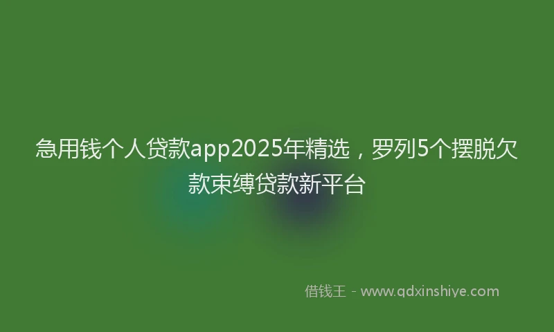 急用钱个人贷款app2025年精选，罗列5个摆脱欠款束缚贷款新平台