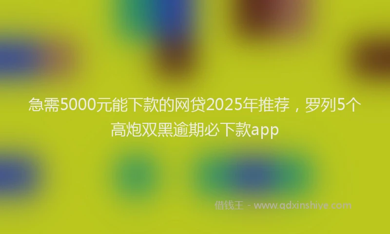 急需5000元能下款的网贷2025年推荐，罗列5个高炮双黑逾期必下款app