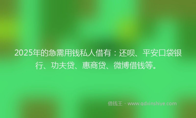 2025年的急需用钱私人借有：还呗、平安口袋银行、功夫贷、惠商贷、微博借钱等。