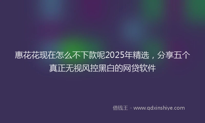 惠花花现在怎么不下款呢2025年精选，分享五个真正无视风控黑白的网贷软件