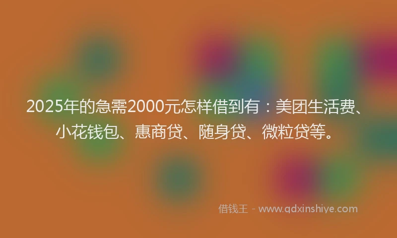 2025年的急需2000元怎样借到有：美团生活费、小花钱包、惠商贷、随身贷、微粒贷等。
