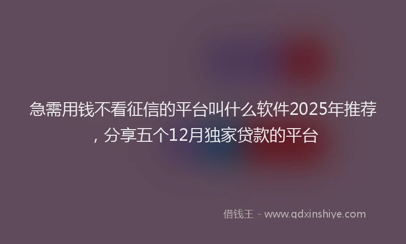急需用钱不看征信的平台叫什么软件2025年推荐，分享五个12月独家贷款的平台