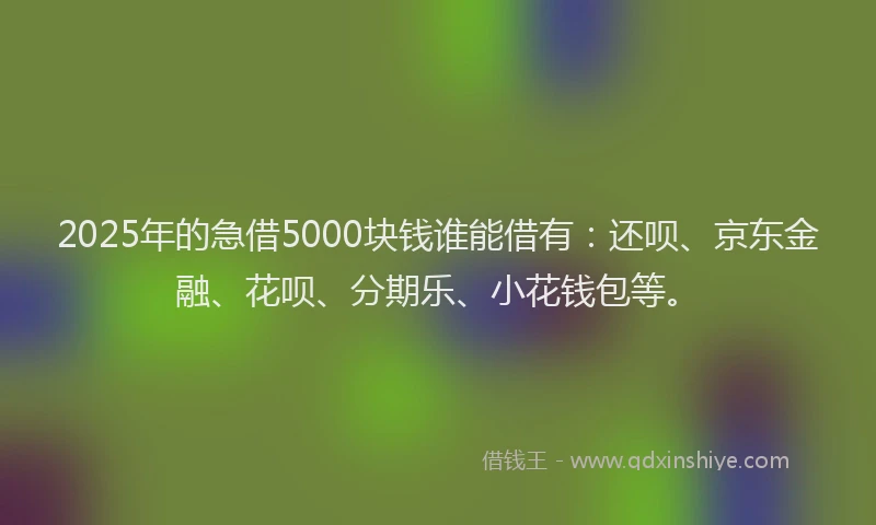2025年的急借5000块钱谁能借有：还呗、京东金融、花呗、分期乐、小花钱包等。