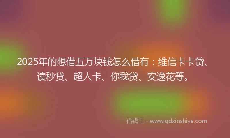2025年的想借五万块钱怎么借有：维信卡卡贷、读秒贷、超人卡、你我贷、安逸花等。